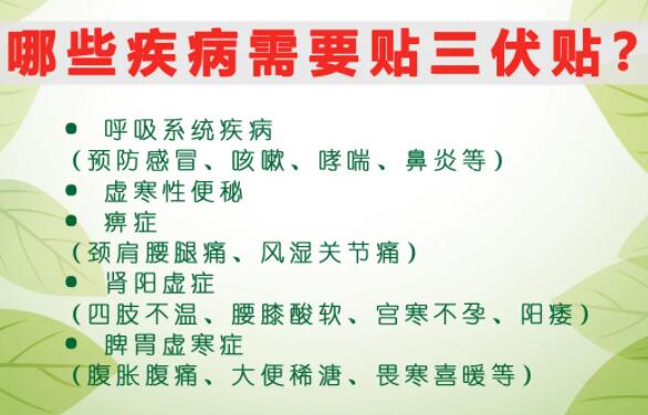 2、什么是三伏貼？三伏貼的作用？