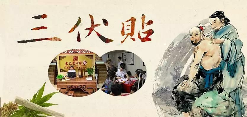 2、什么是三伏貼？三伏貼的作用？